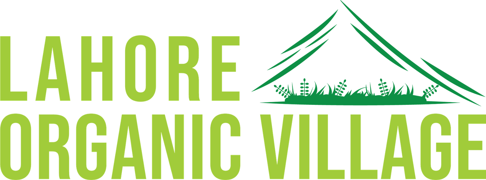 lahoreorganicvillage.pk