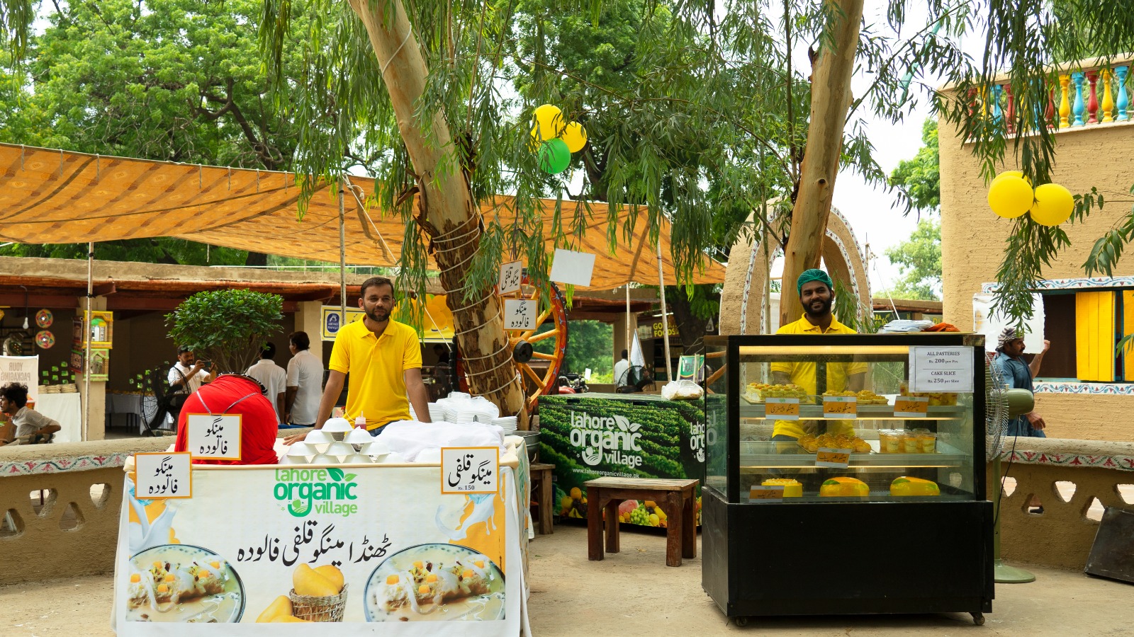 481772350_1039343764887547_8530093255518480602_n