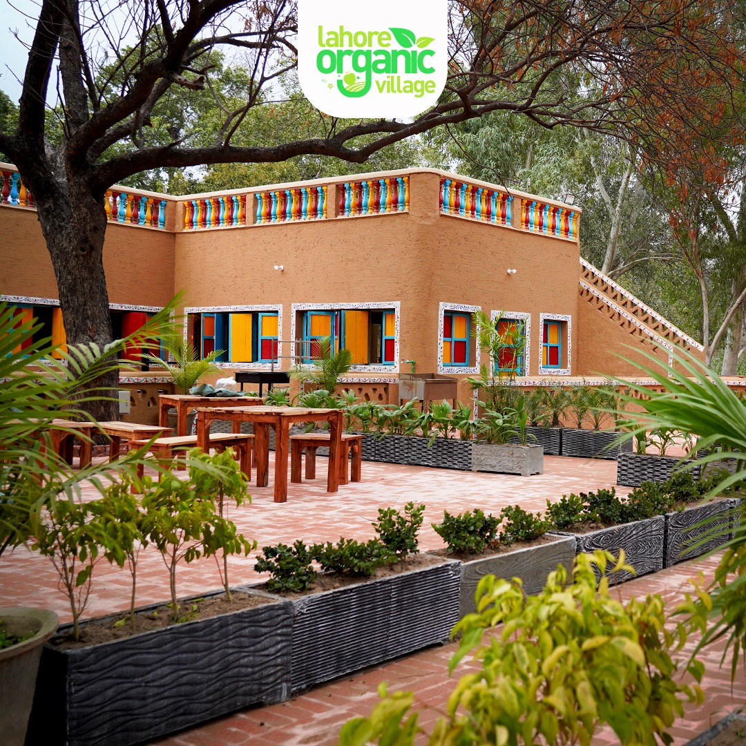 481908252_1036103665211557_6193950507083483776_n