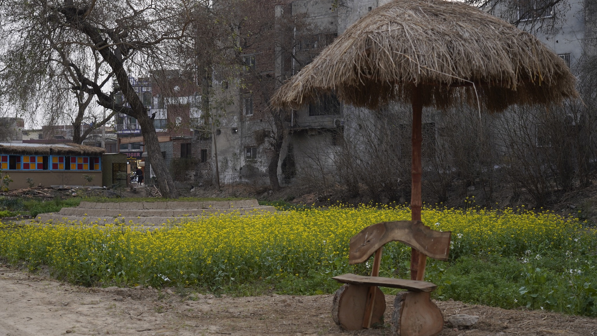 482083887_1038272048328052_7020638333103780253_n