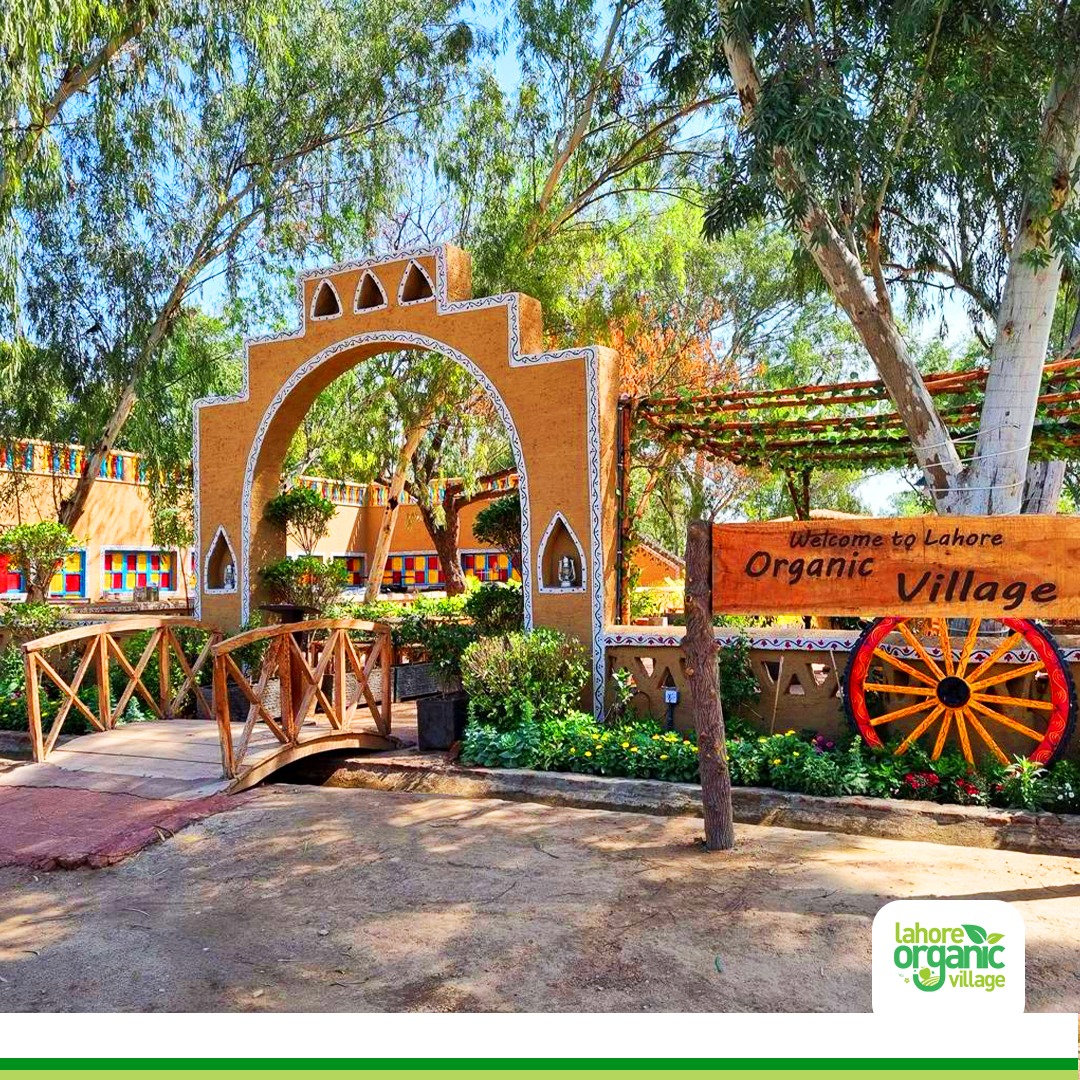 482245013_1040231151465475_8166132003384320201_n