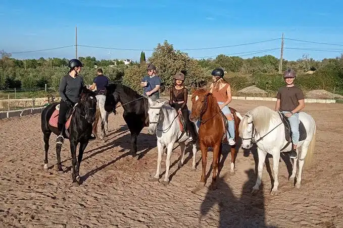 Horse Riding Academy