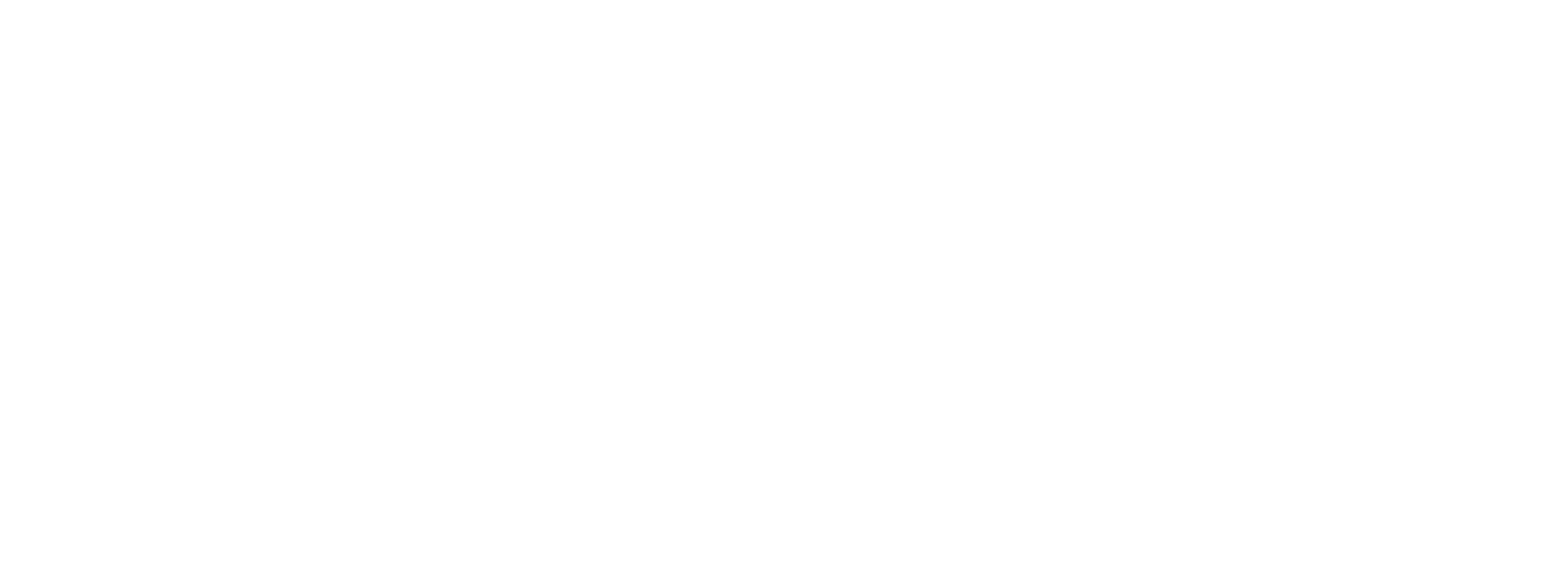 Lahore Organic Village logo