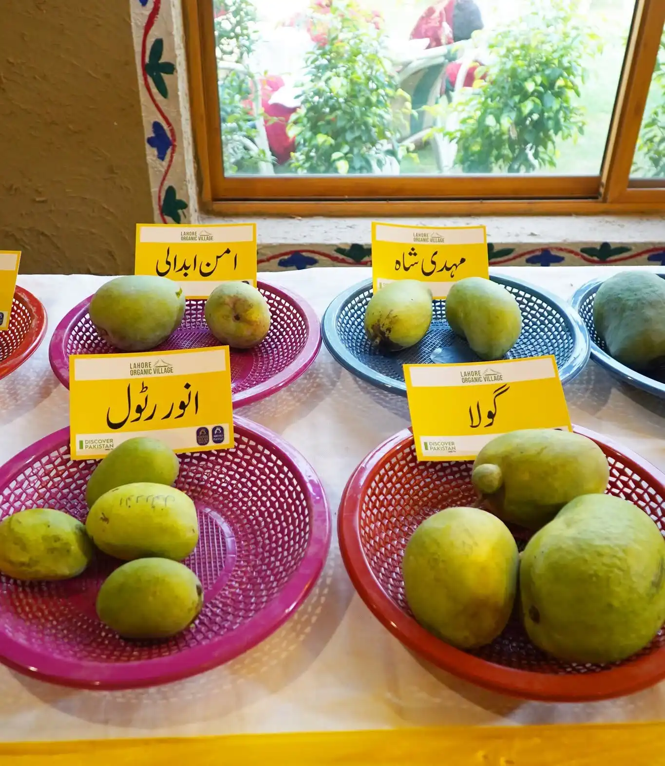 Mango Festival at Lahore Organic Village