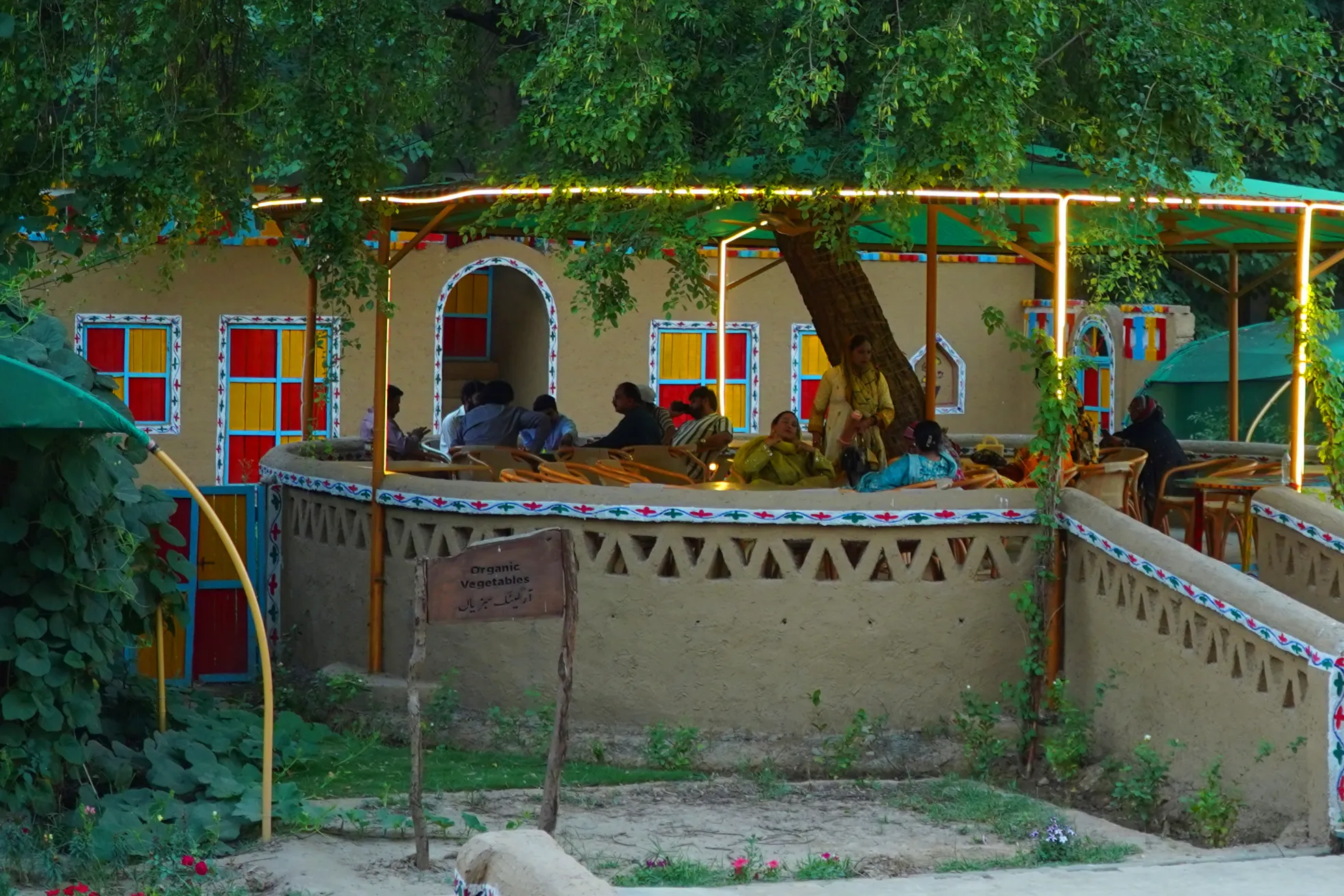 Family picking fresh vegetables together at Lahore Organic Village