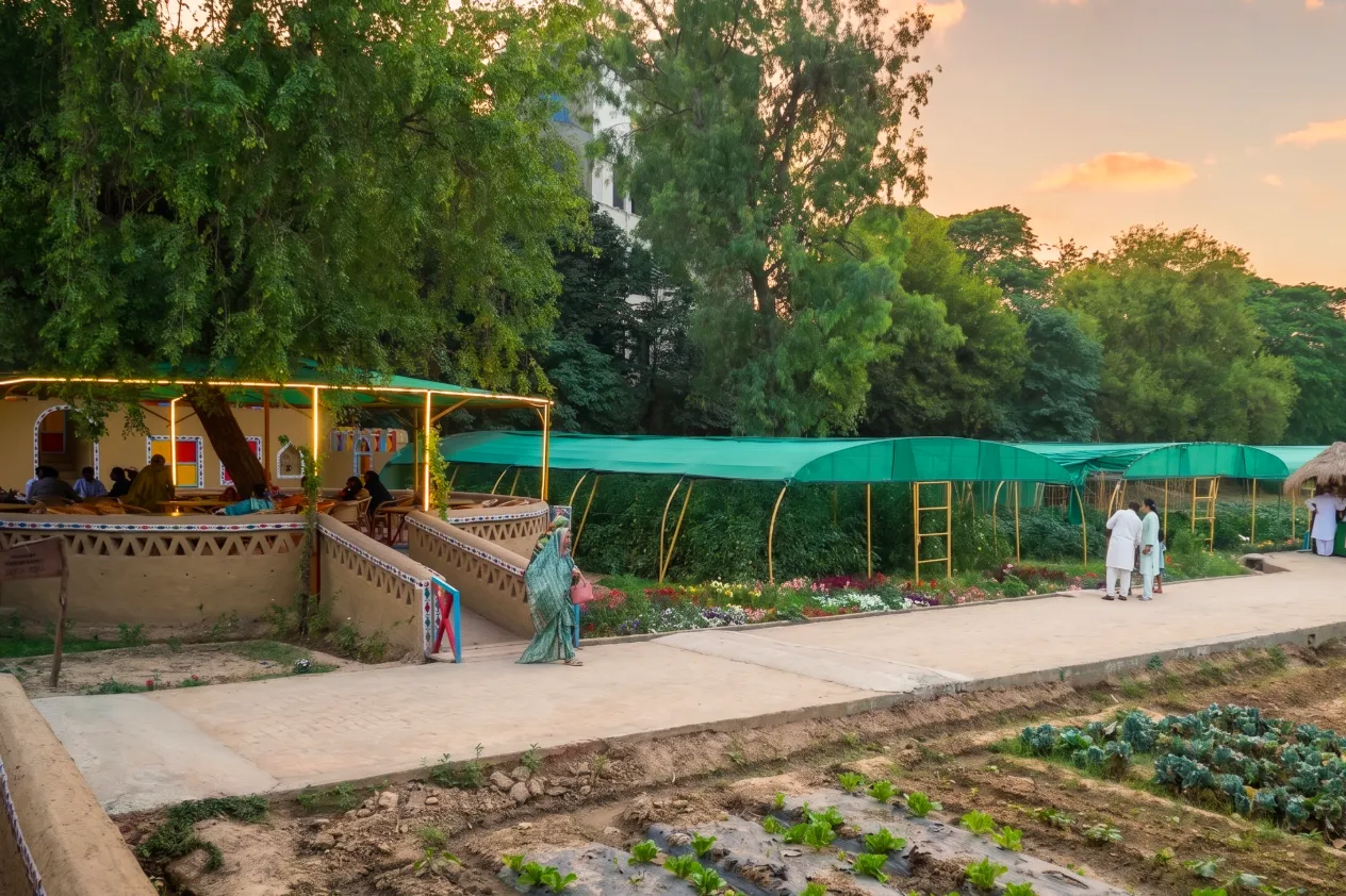 Basket full of fresh organic eggplants, tomatoes, carrots, and leafy greens at Lahore Organic Village