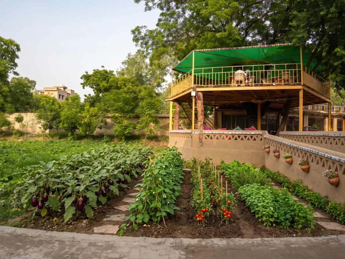 Elevated deck overlooking rows of eggplant and tomatoes at Lahore Organic Village