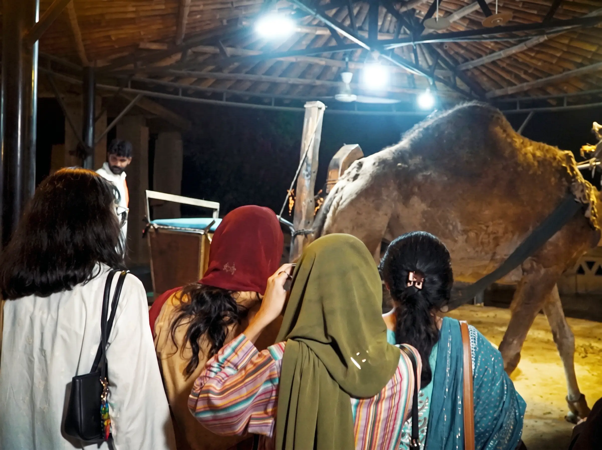 Visitors watching the historic camel-driven Kohlu oil extraction process at Fazal Oil in Lahore, Pakistan.