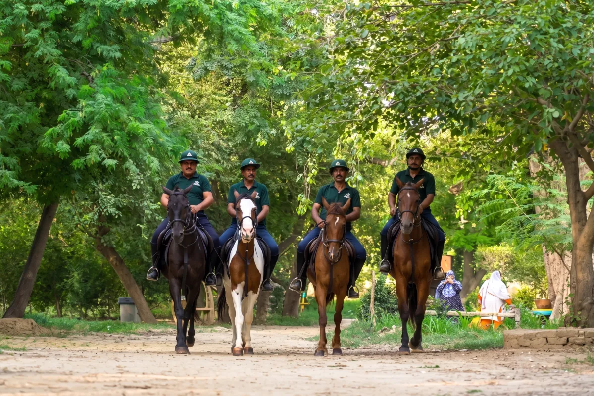 Horse Riding at Lahore Organic Village