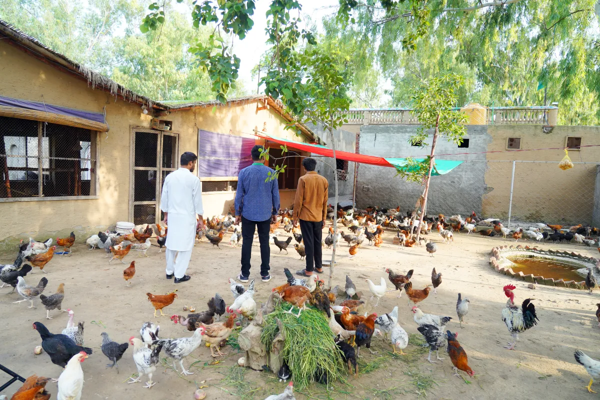 People inside Desi Chicken Shed, Lahore Organic Village