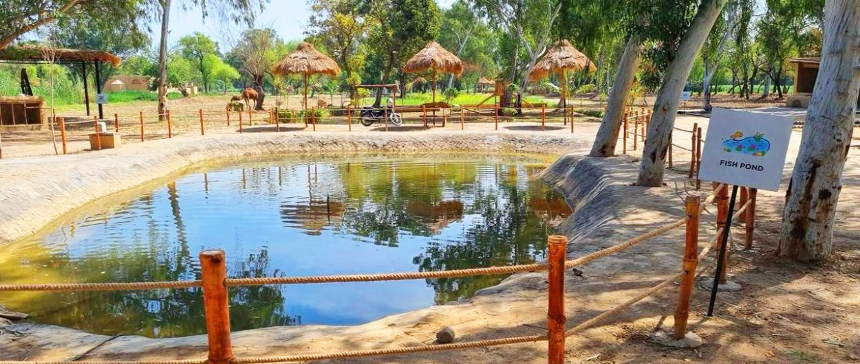 WhatsApp Image 2024-04-18 at 11.31.33 PM copy